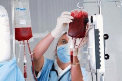 Sâu biển được dùng để chế tạo máu